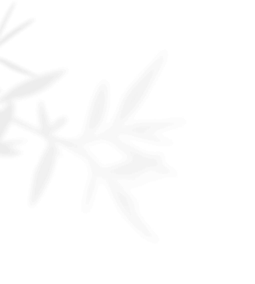https://sysaim.nl/wp-content/uploads/2020/11/shadow_leaves_01.png