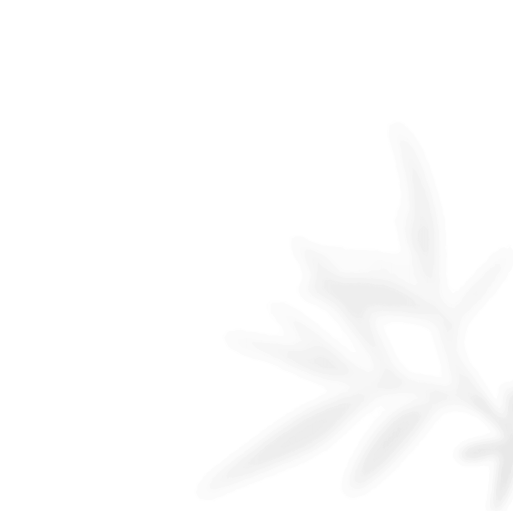 https://sysaim.nl/wp-content/uploads/2020/11/shadow_leaves_02.png