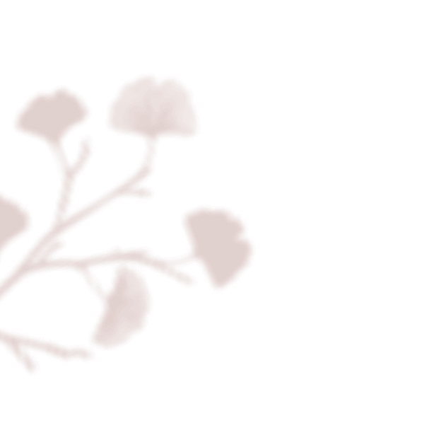 https://sysaim.nl/wp-content/uploads/2020/12/floating_image_01.png