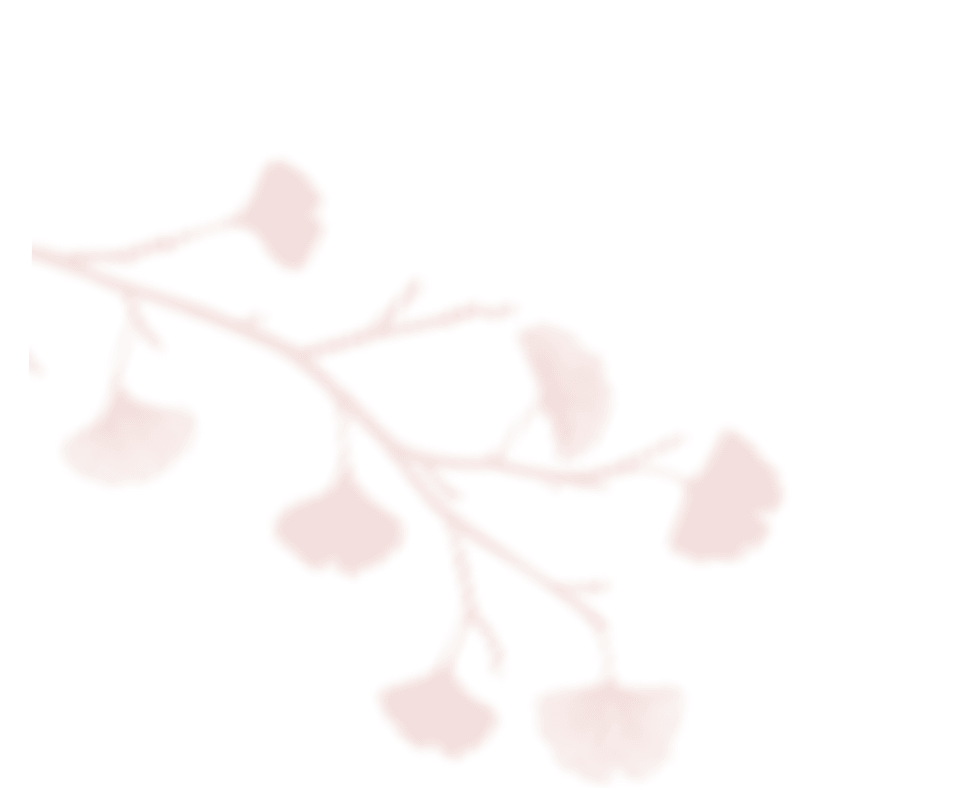 https://sysaim.nl/wp-content/uploads/2020/12/shadow_leaves_06.png