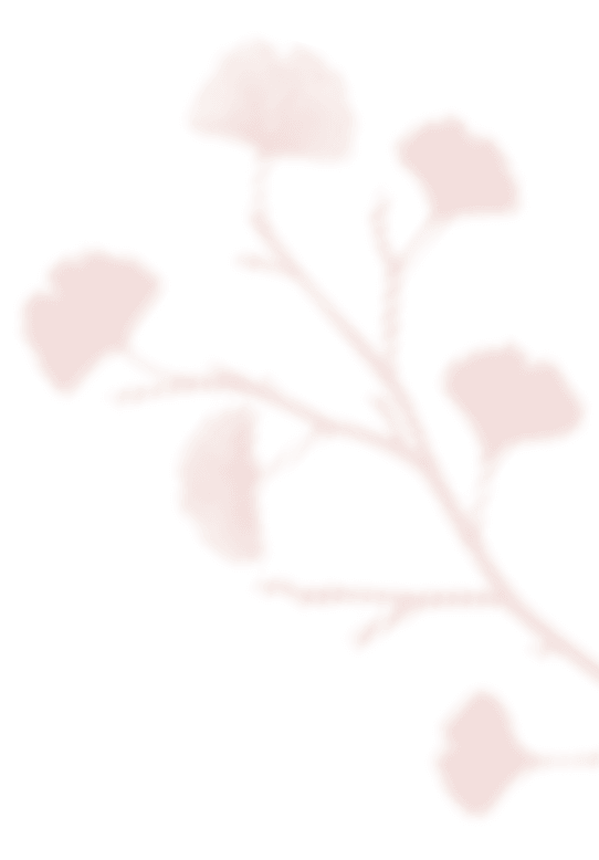 https://sysaim.nl/wp-content/uploads/2020/12/shadow_leaves_07.png
